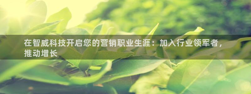 金年会诚信至上金字招牌