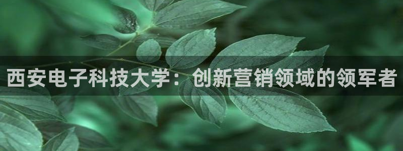 金年会体育娱乐