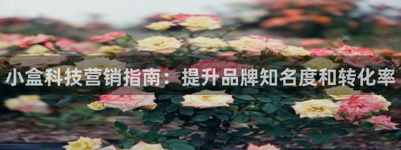 金年会体育官网入口