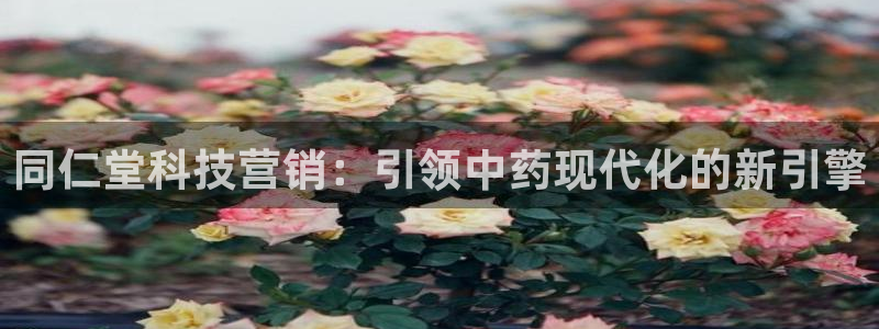 金年会com