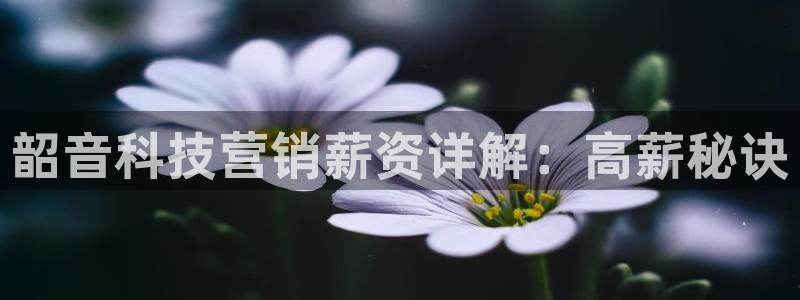 金年会VIP