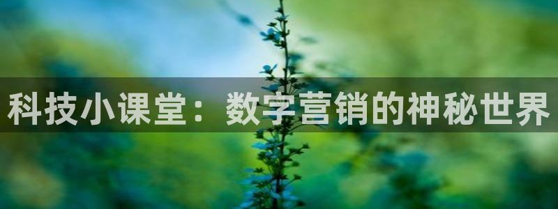 金年会体育app最新官网下载苹果