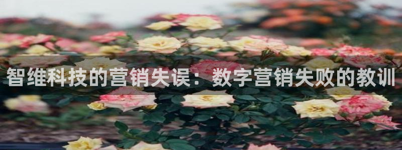 金年会金字招牌信誉至上365