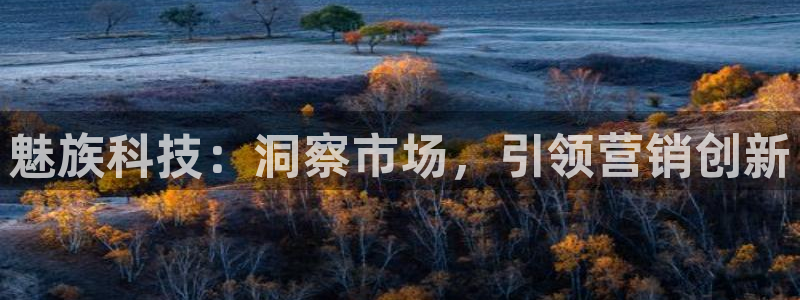 金年会体育综合App