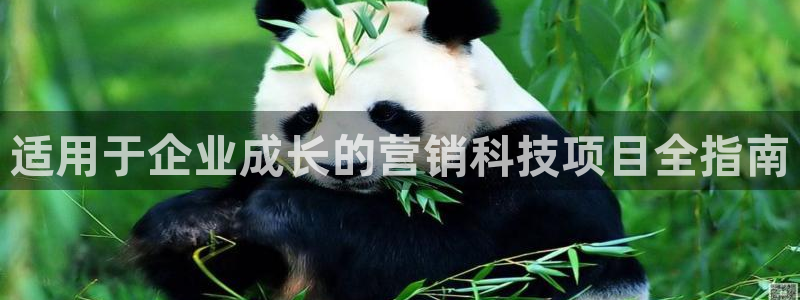 金年会 金字招牌诚信至上在线