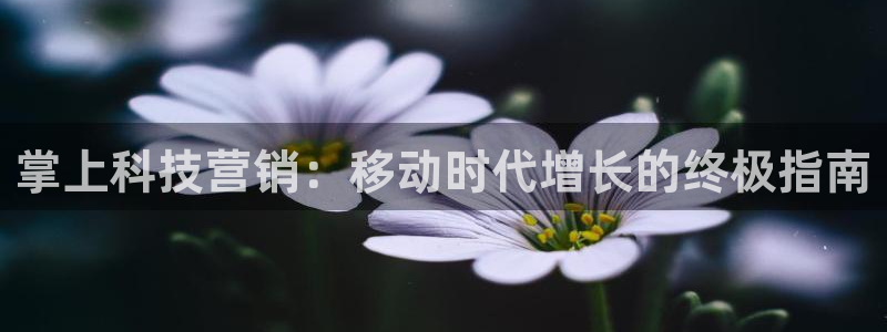 金年会体育入口