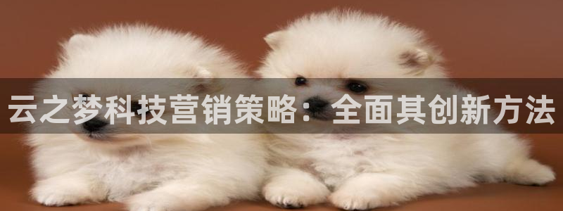 金年会体育全站app