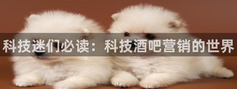 金年会pg麻将胡了几张牌