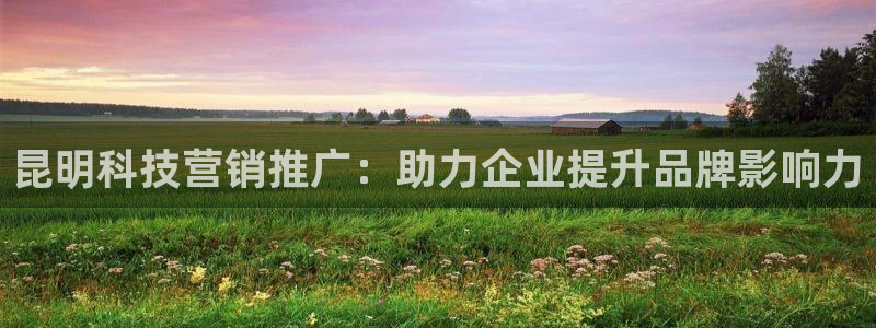 金年会手机版官方下载