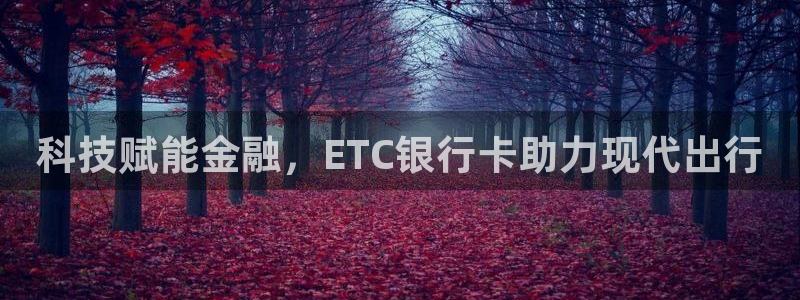 金年会黑不黑