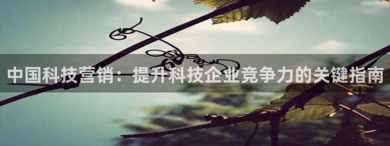 金年会体育app下载官网