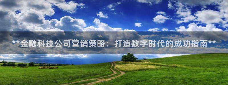 金年会体育app平台怎么样