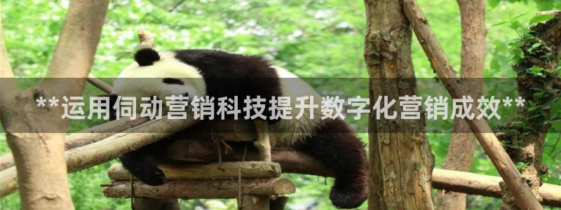 金年会电子游泳app