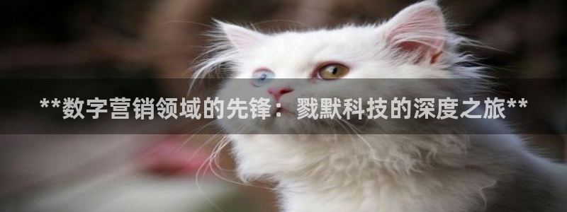 金年会官方在线播放