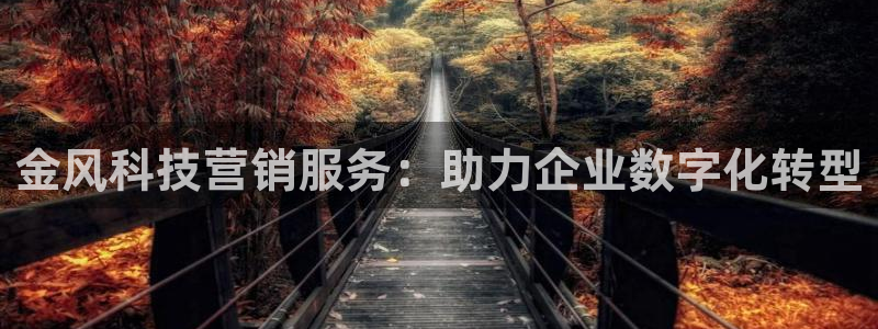 金年会网赌靠普吗
