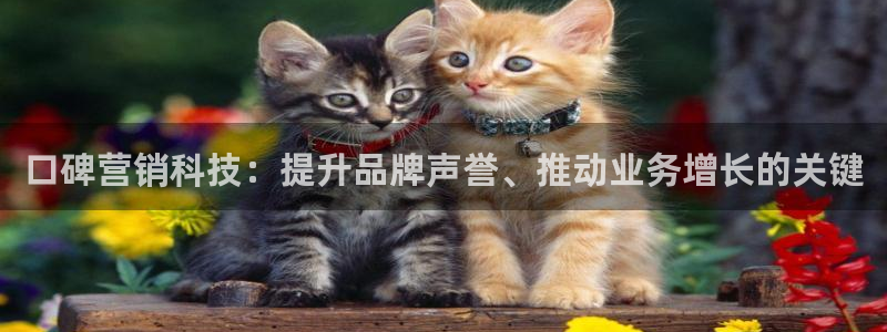 金年会电子游戏—2023全球木材与木制品大会