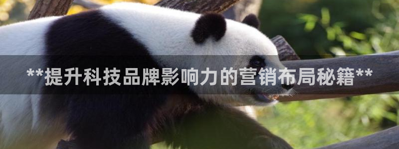 金年会网站拒绝出款怎么办?