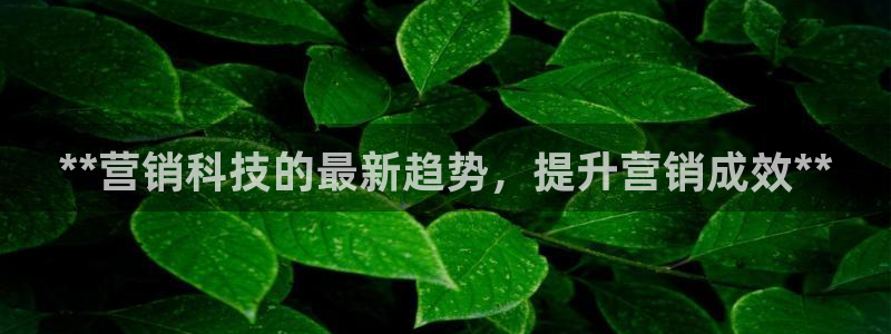 金年会电子app官方下载