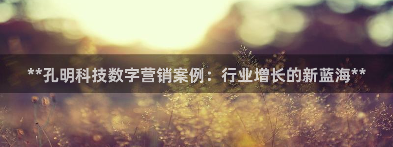 金年会电子游戏app官方网站