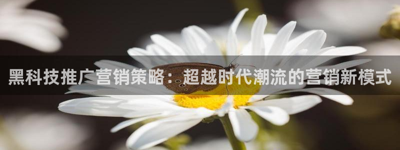 金年会体育