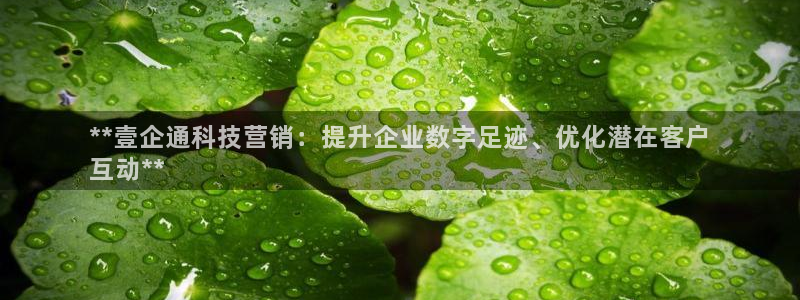 金年会体育app最新官网下载安卓
