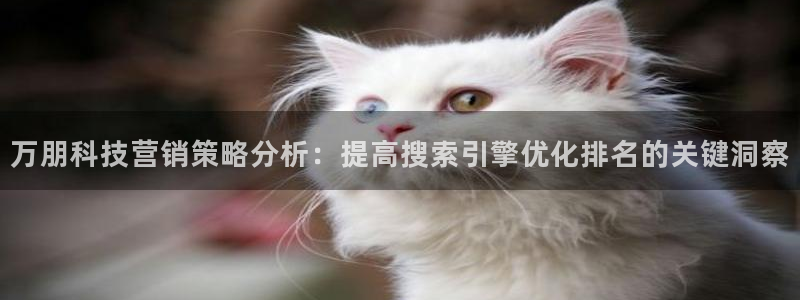 金年会网站下载