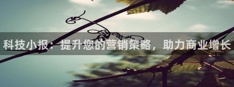 金年会信誉至上金字招牌