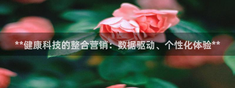金年会体育全站app