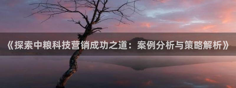 金年会平台怎么样