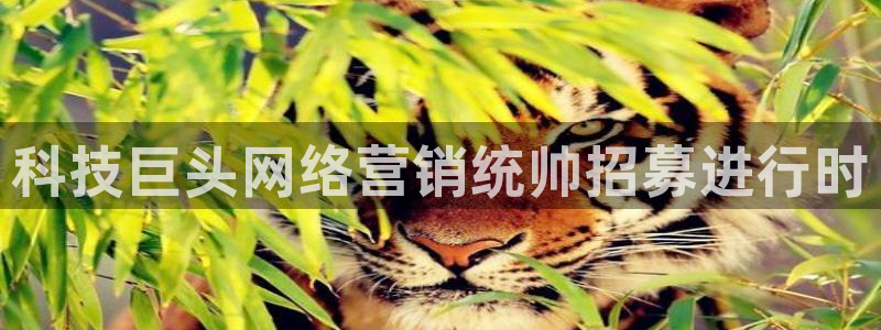 金年会在线入口