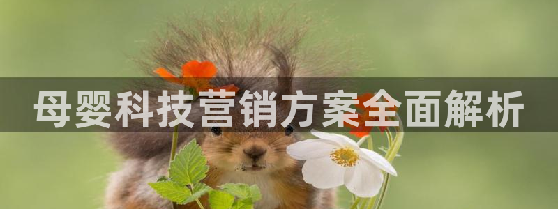 金年会官方网站入口网址