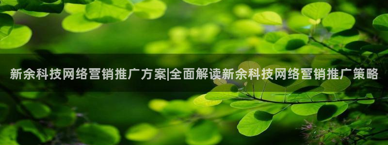 金年会体育好不好