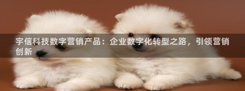 金年会金字招牌入口