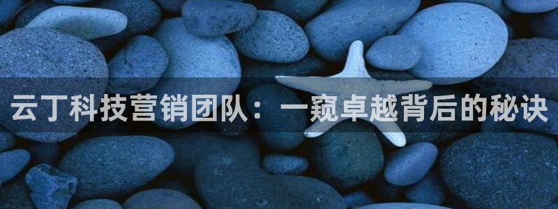 金年会在线入口登陆