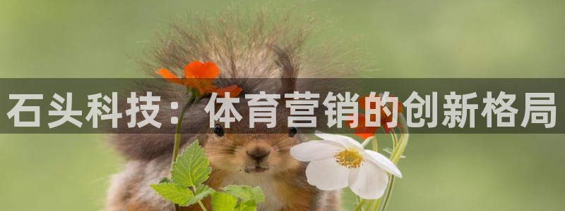 金年会网站出款被要求认证怎么办?