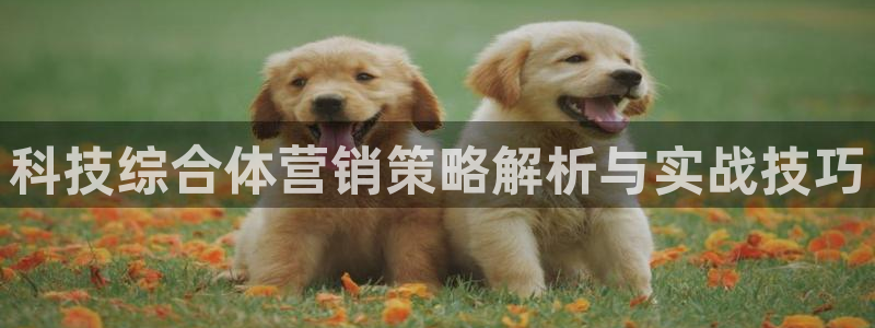 金年会金字招牌信誉至上是黑平台吗