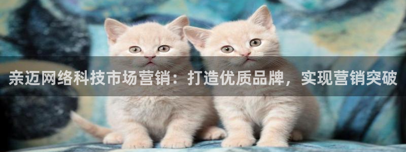 金年会jinnianhuicom