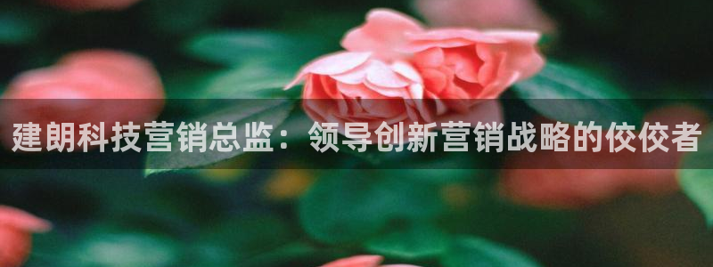 金年会app官网
