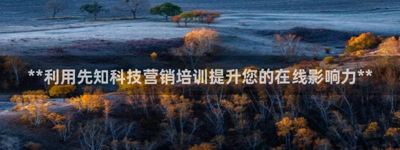 金年会体育平台怎么样