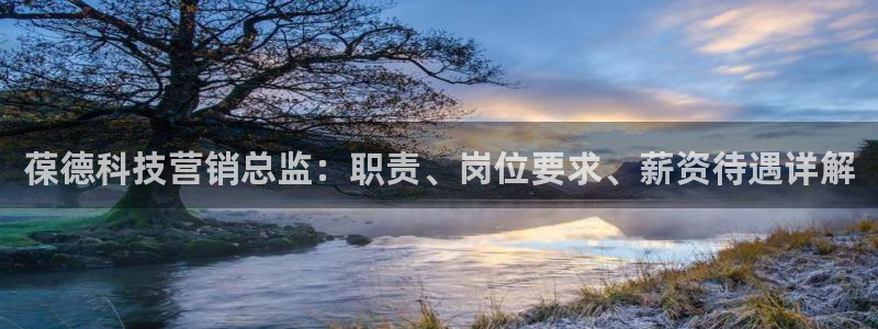 金年会网站洗黑钱
