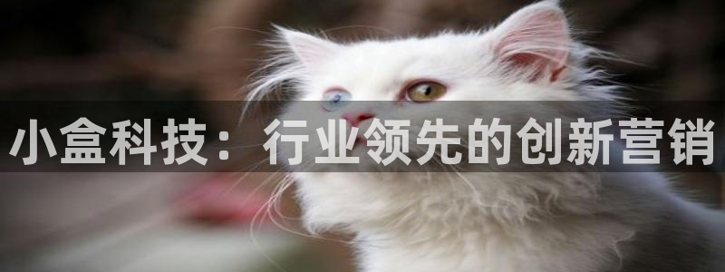 金年会体育竞彩app