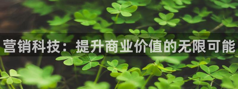 金年会jinnian体育下载app