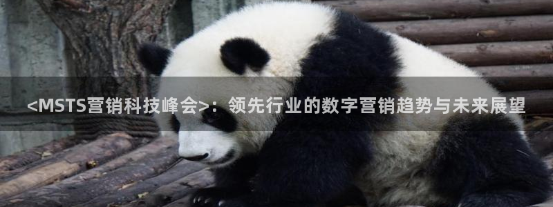 金年会赌博案