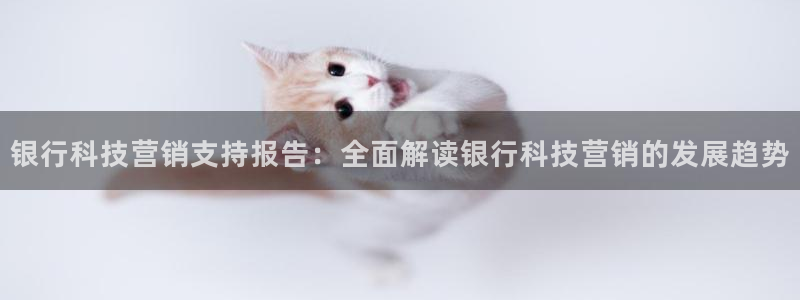 金年会网页版登陆
