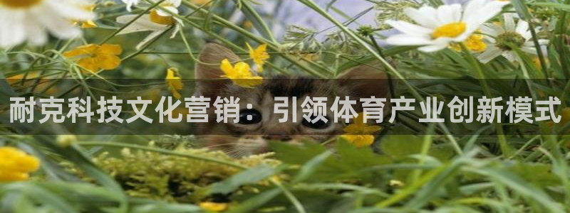 金年会官方app下载