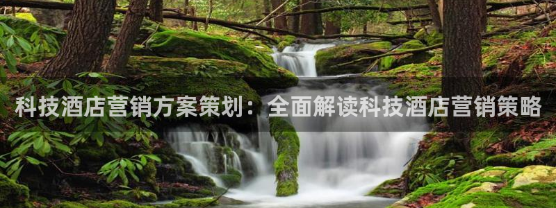 金年会官方入口2023