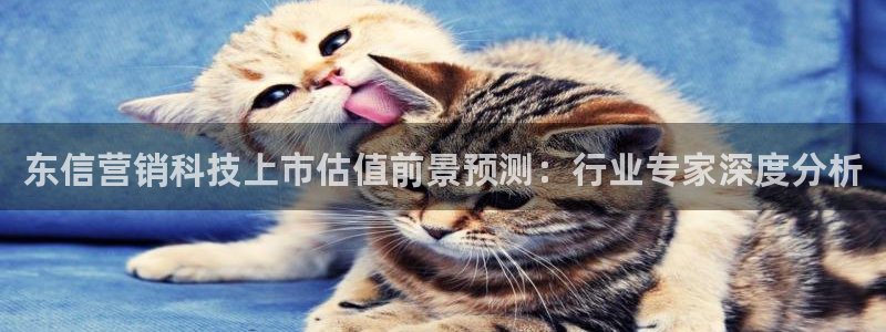 金年会体育app官网下载