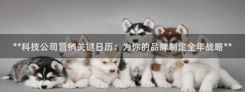 金年会pM捕鱼