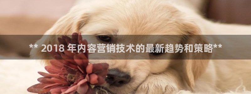 金年会 金字招牌诚信至上Vip
