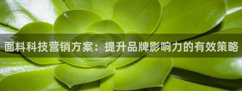 金年会电子游戏app官方网站
